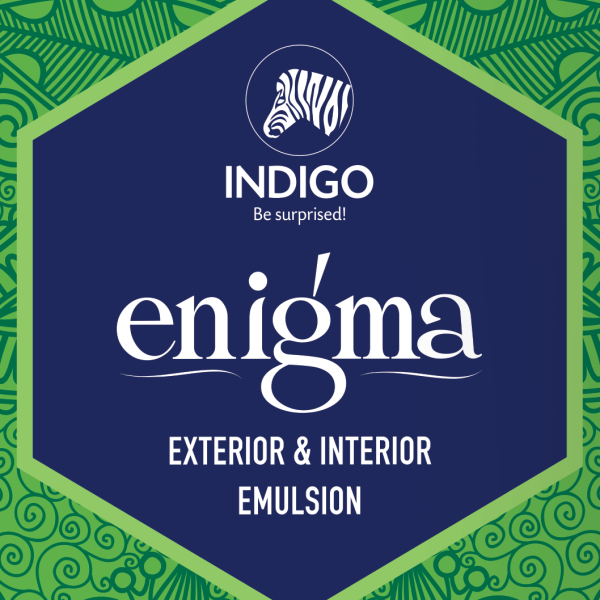 enigma logo image